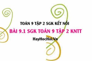 Bài 9.1 SGK Toán 9 tập 2 Kết nối tri thức